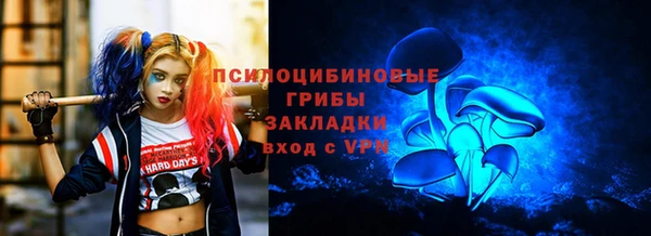 ГАЛЛЮЦИНОГЕННЫЕ ГРИБЫ Алексин