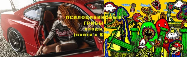 гидропоника Алзамай