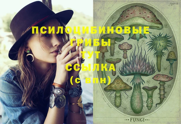 ГАЛЛЮЦИНОГЕННЫЕ ГРИБЫ Алексин