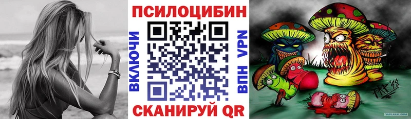 Галлюциногенные грибы Psilocybine cubensis  хочу   Тверь 