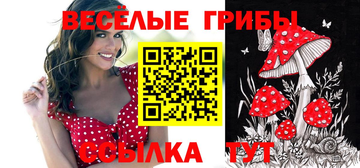 Галлюциногенные грибы ЛСД  как найти   Галлюциногенные грибы Psilocybe  Тверь  Вход с VPN 